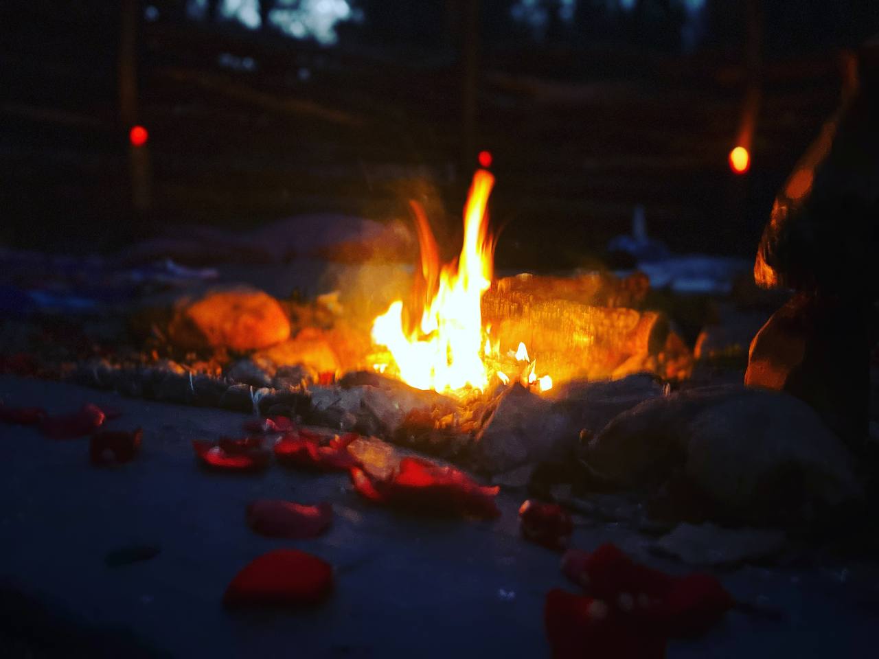 photo_2024-04-26_10-41-11